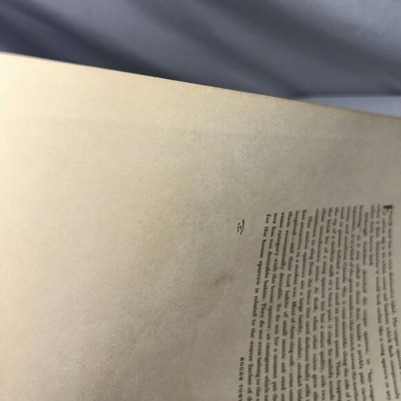 Vesper Sparrow Print Roger Tory Peterson Lithograph Audubon Birds of America - Picture 9 of 10